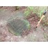 Compost Sieve